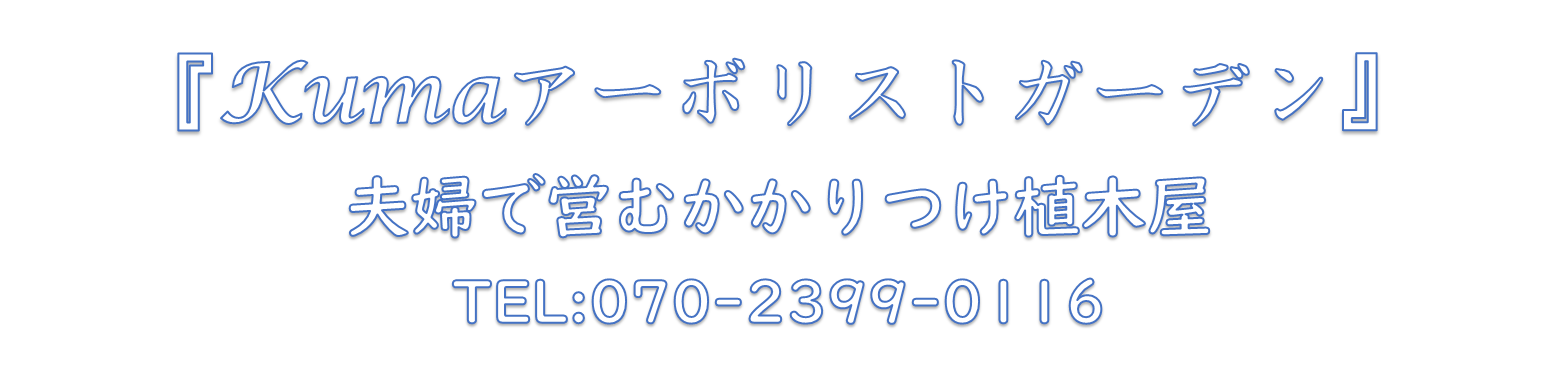 『kumaアーボリストガーデン』